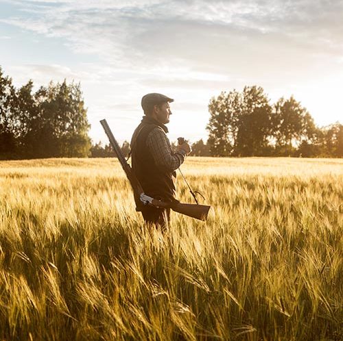 Hunter stalking prey through wheat fields