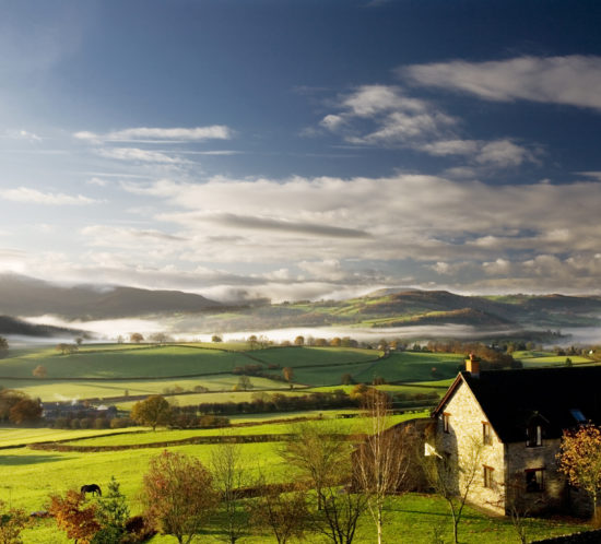 Misty morning in countryside valley