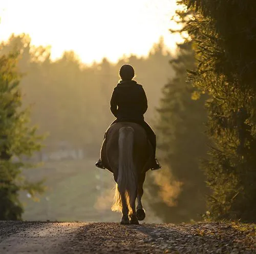 Woman riding a horse down a country lane